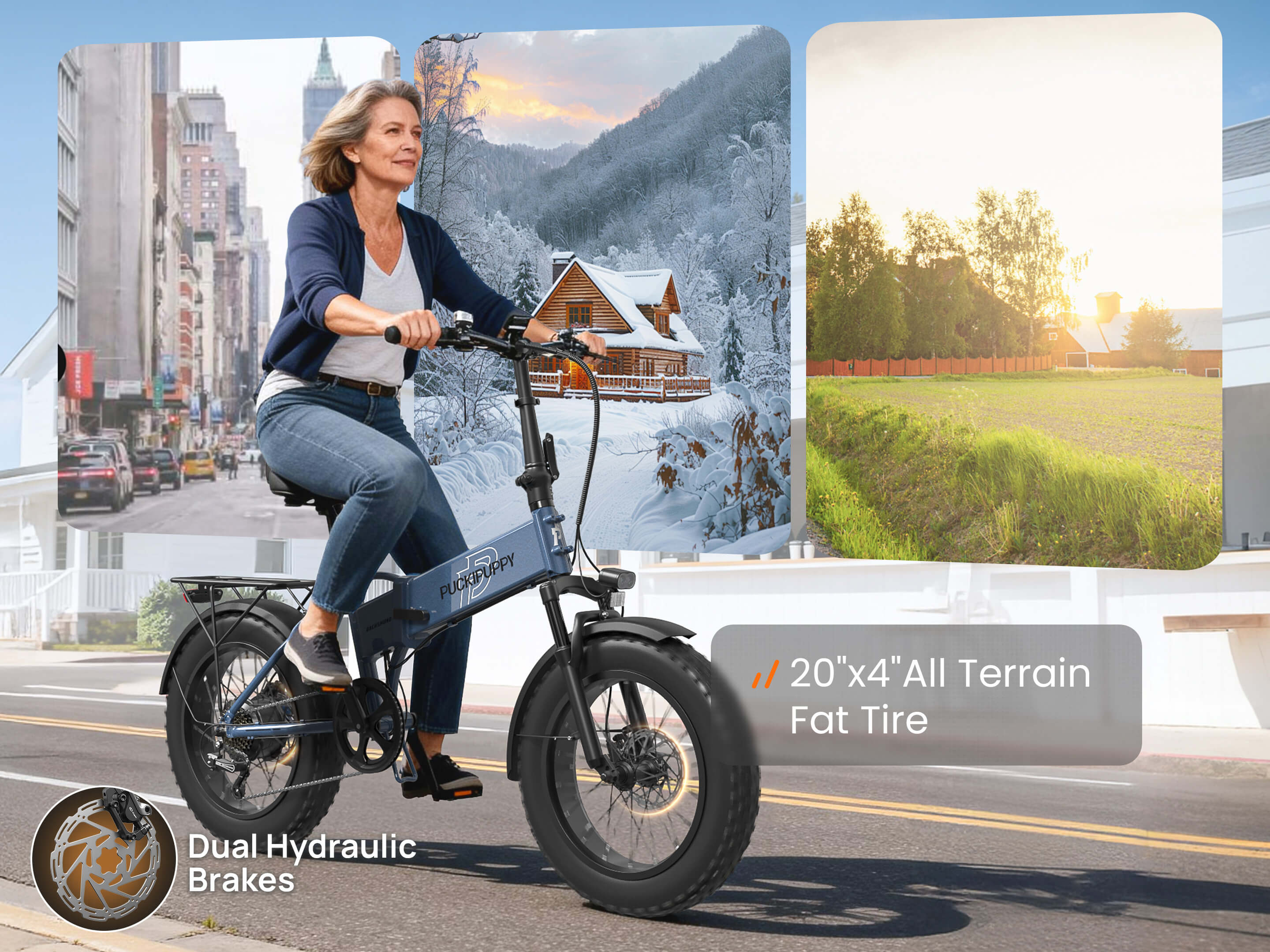 Dachshund Ebike - Image 17