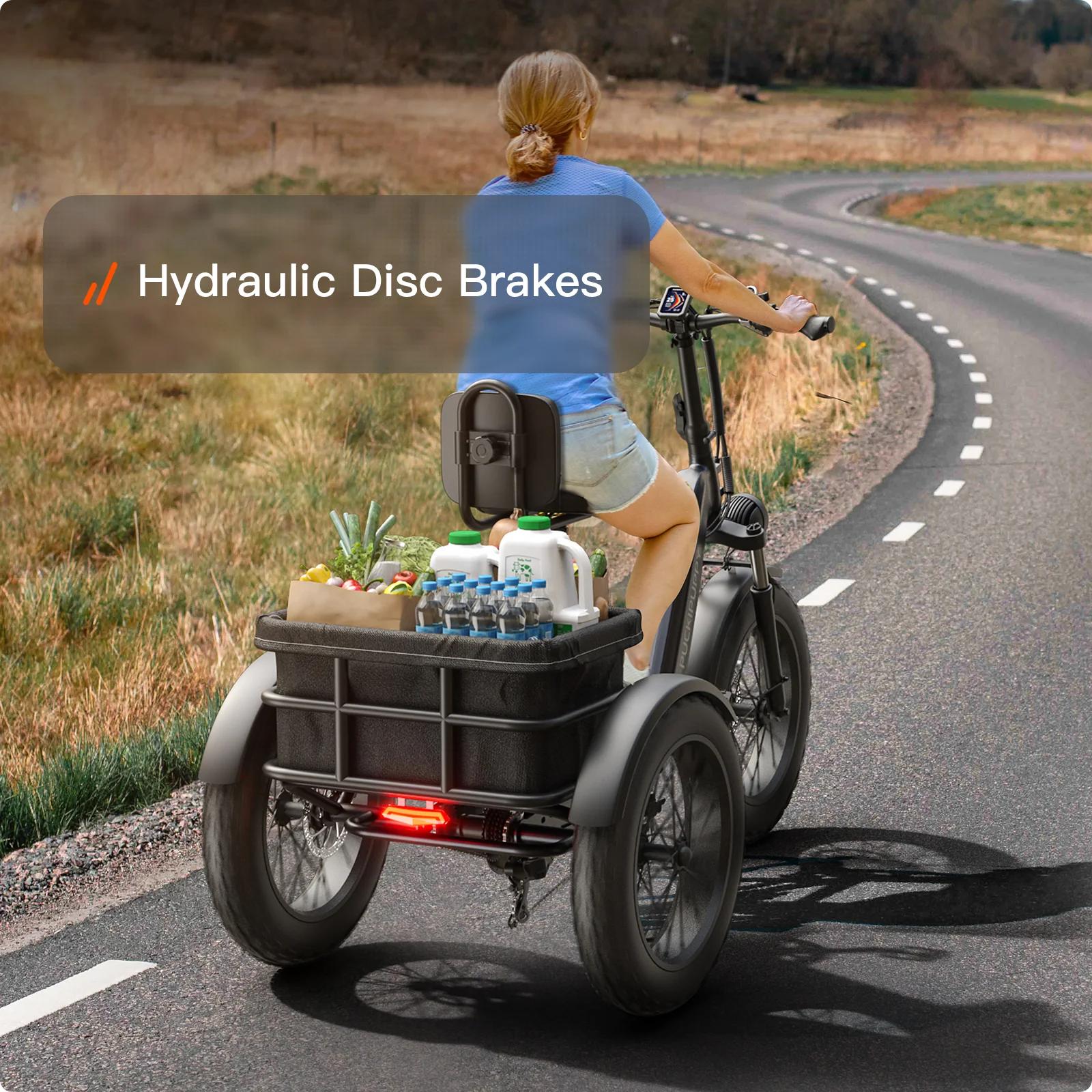 Husky Etrike - Image 15