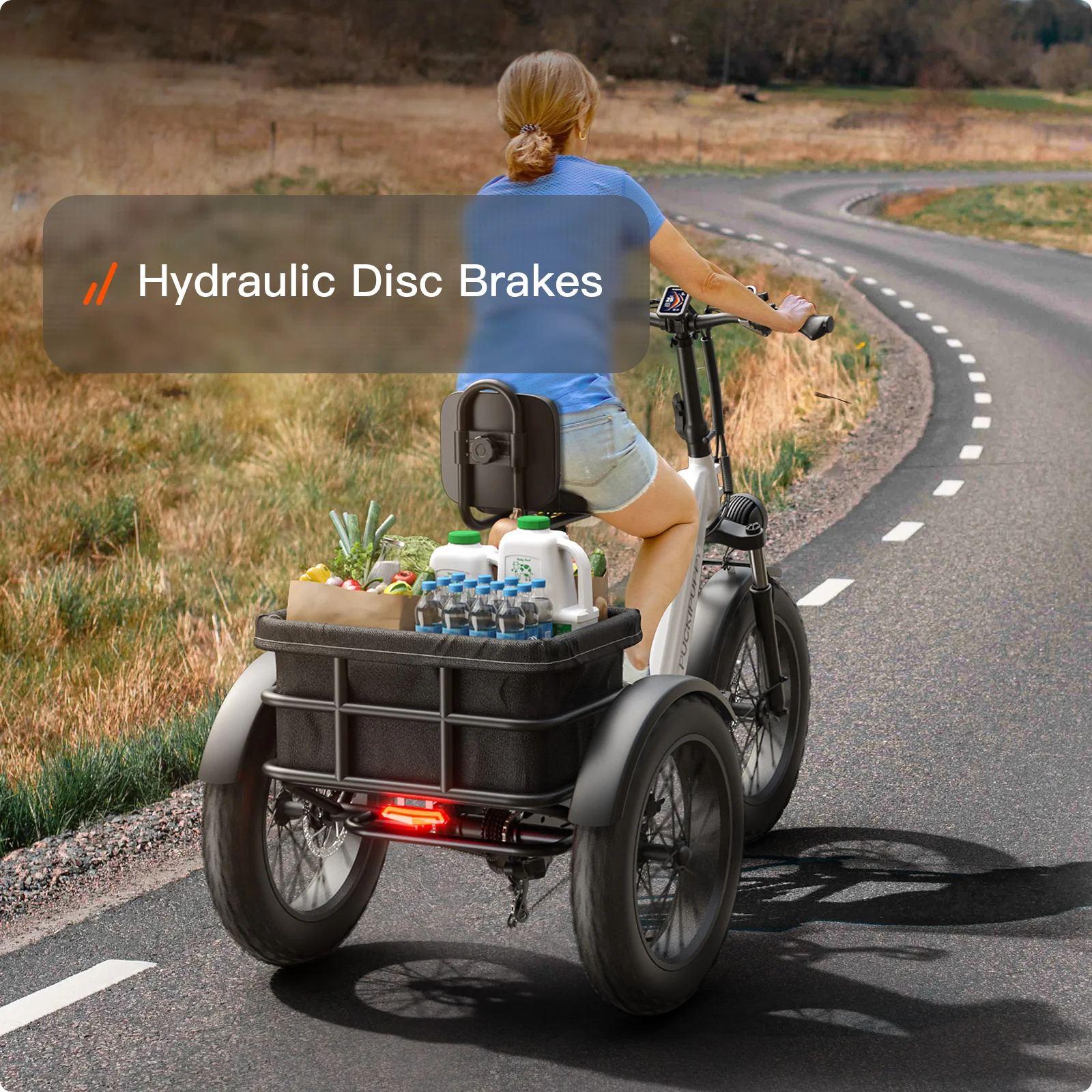 Husky Etrike - Image 21