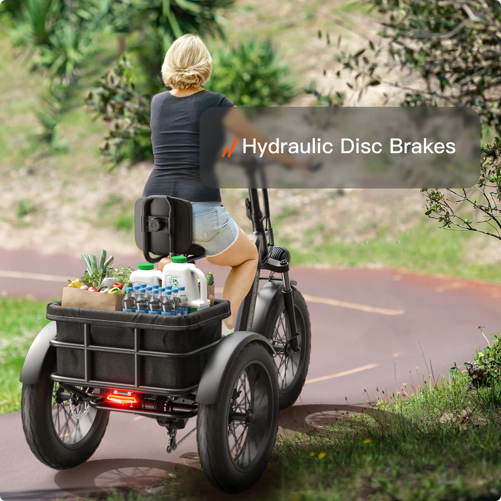 Husky Plus Etrike - Image 27