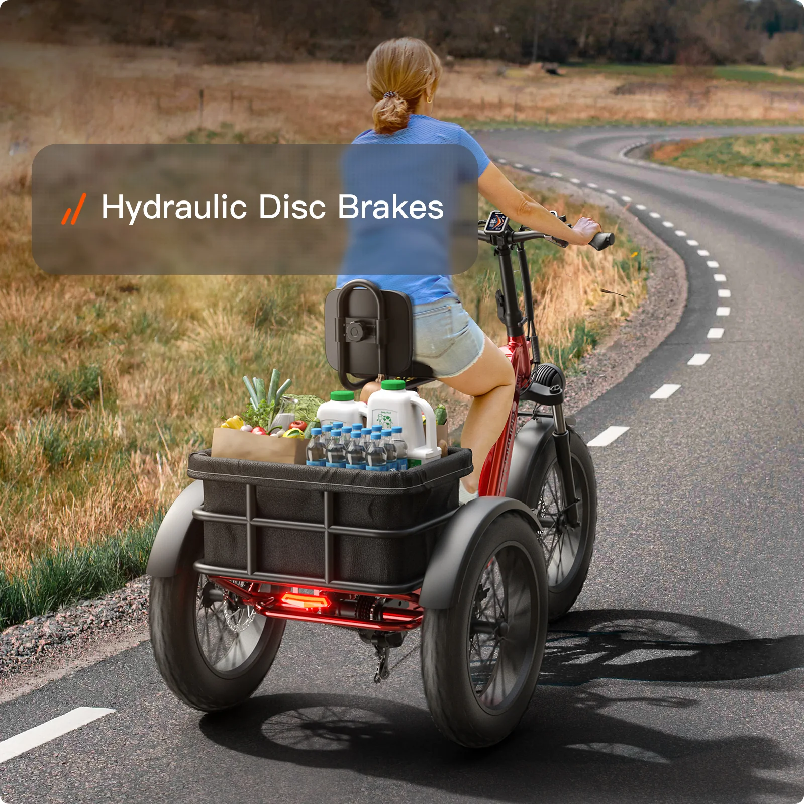 Husky Plus Etrike - Image 6