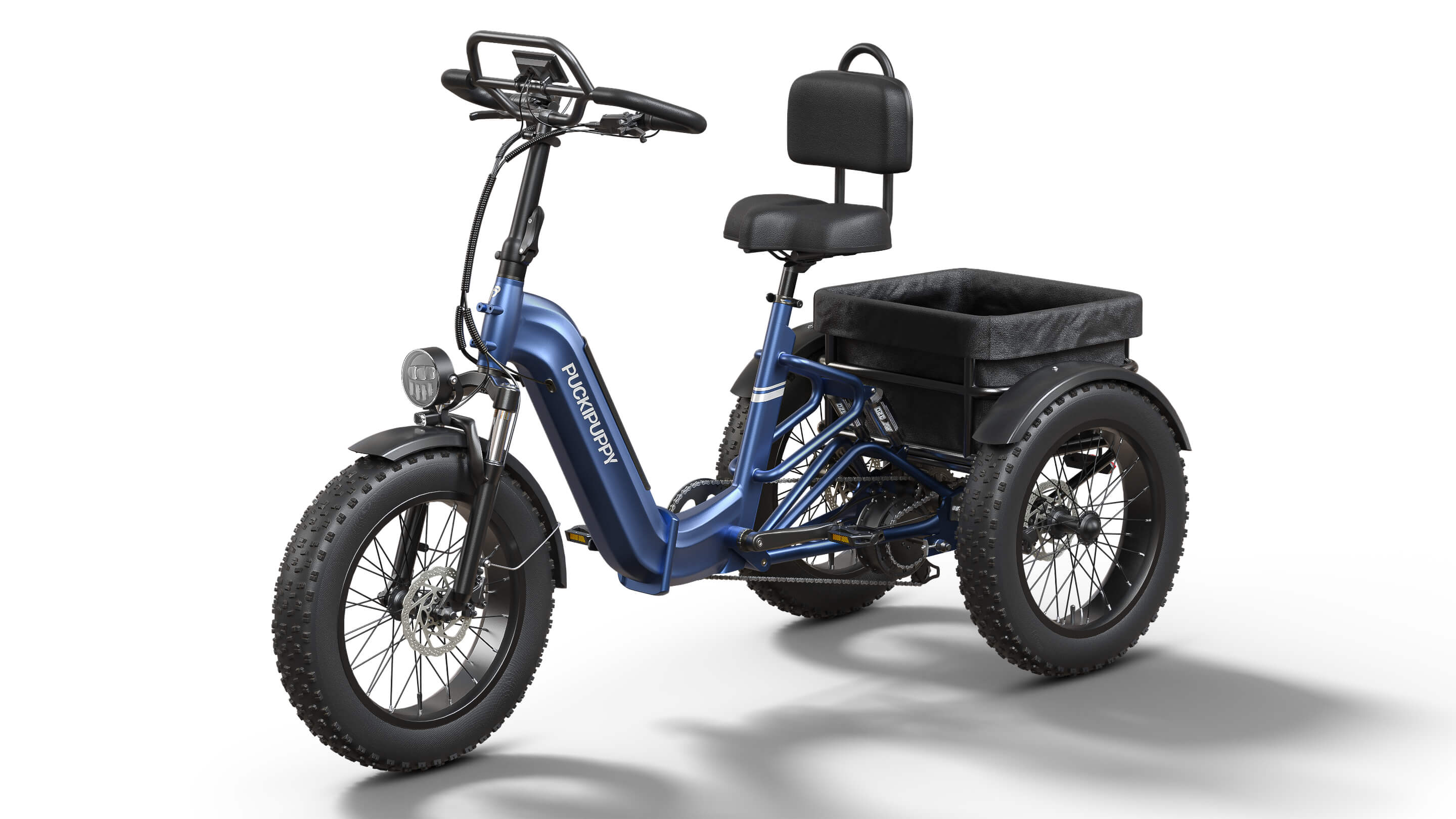 Rottweiler Etrike - Image 14