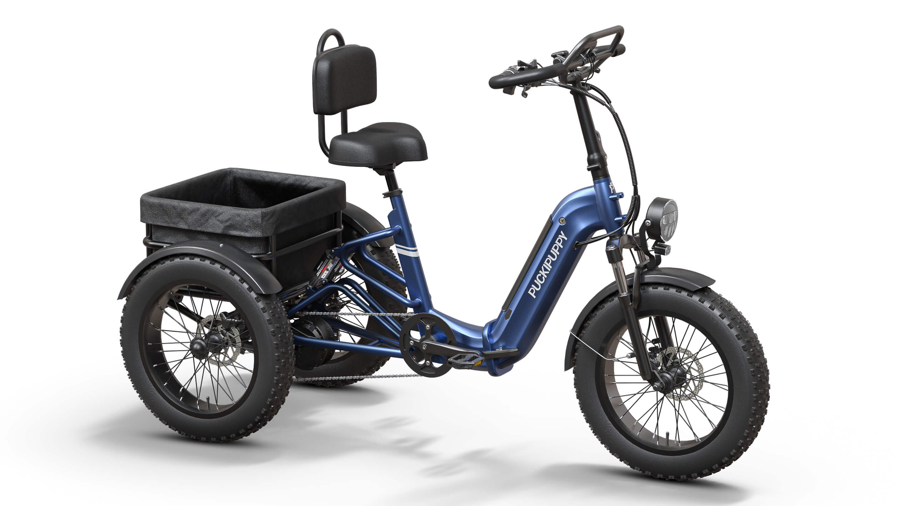 Rottweiler Etrike - Image 20