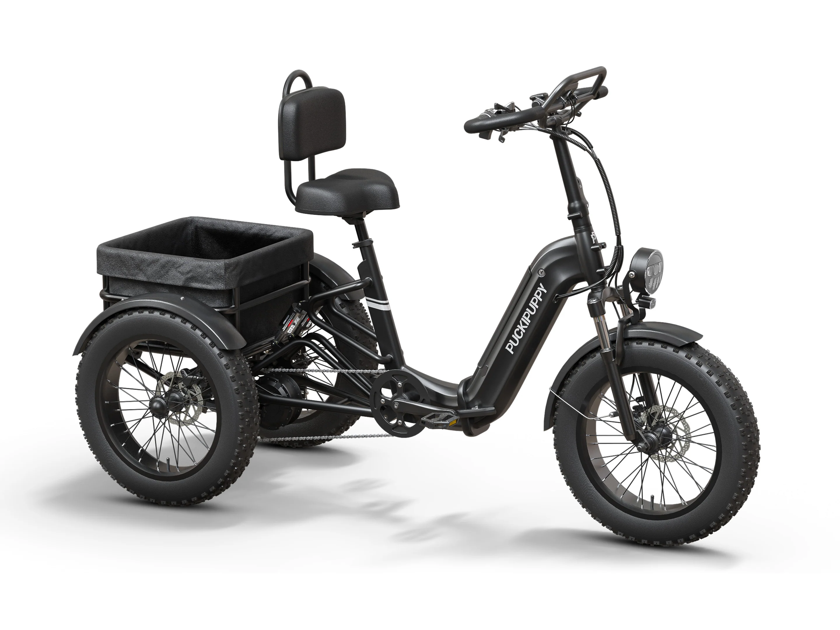 Rottweiler Etrike - Image 3