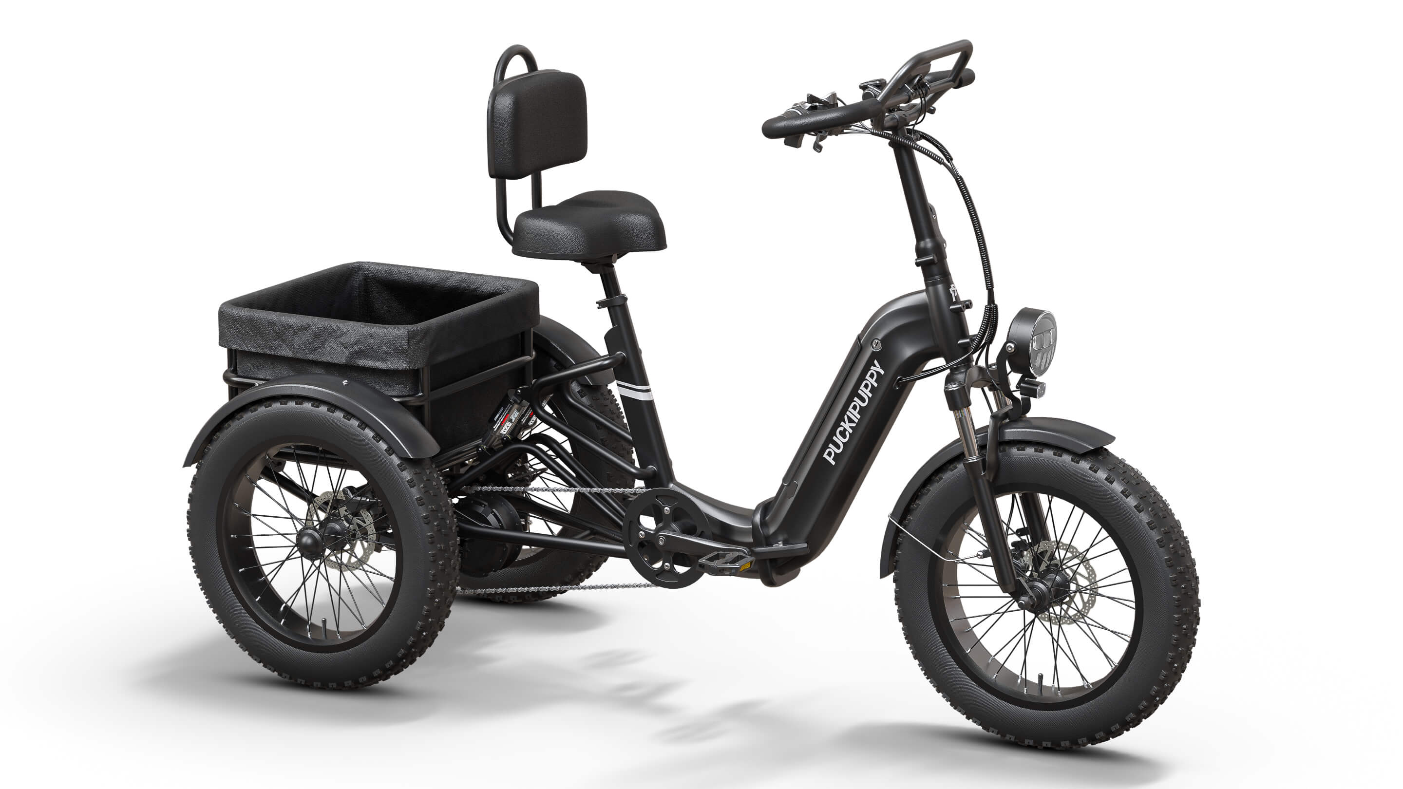 Rottweiler Etrike - Image 5