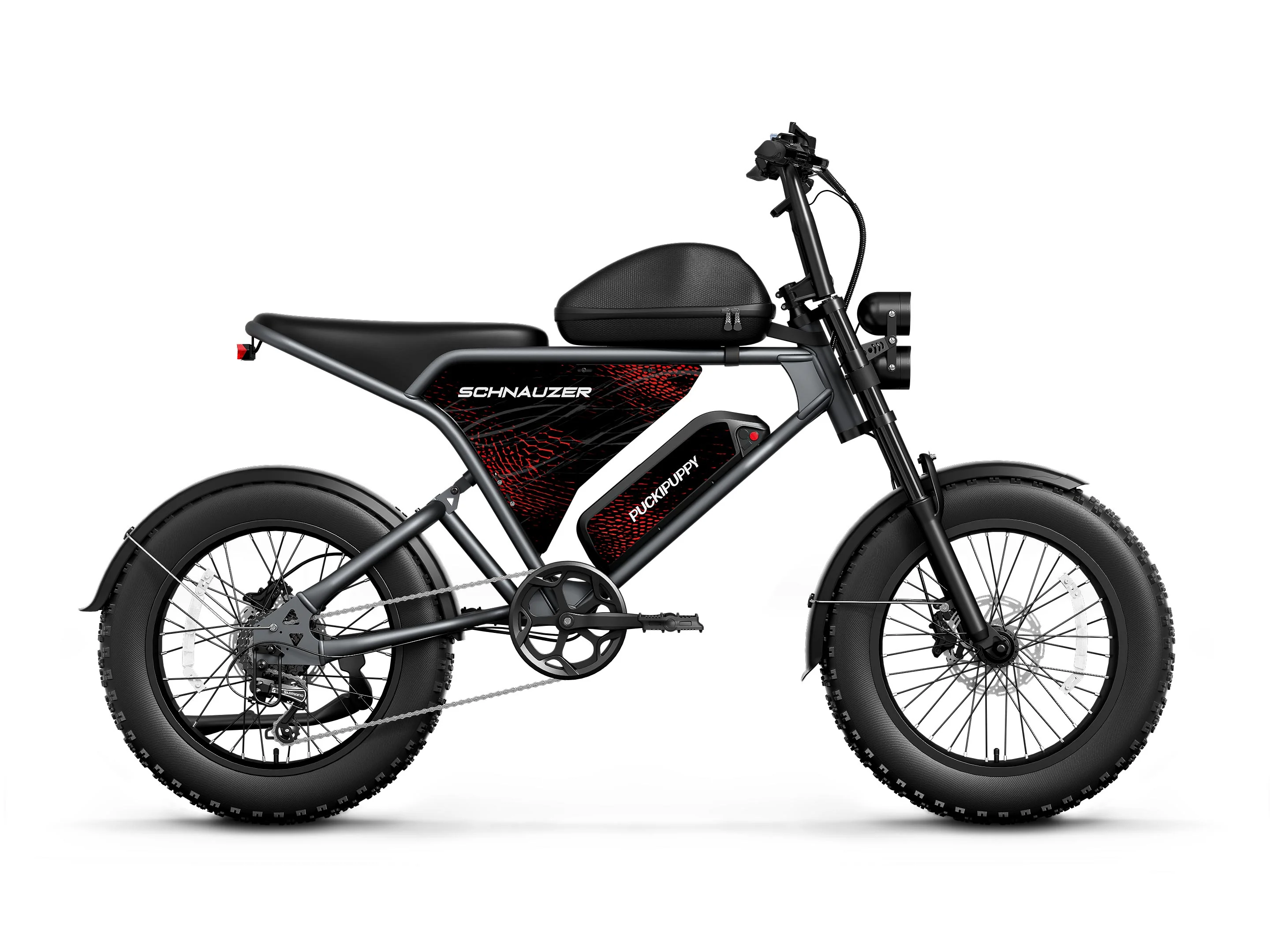 Schnauzer Ebike - Image 3
